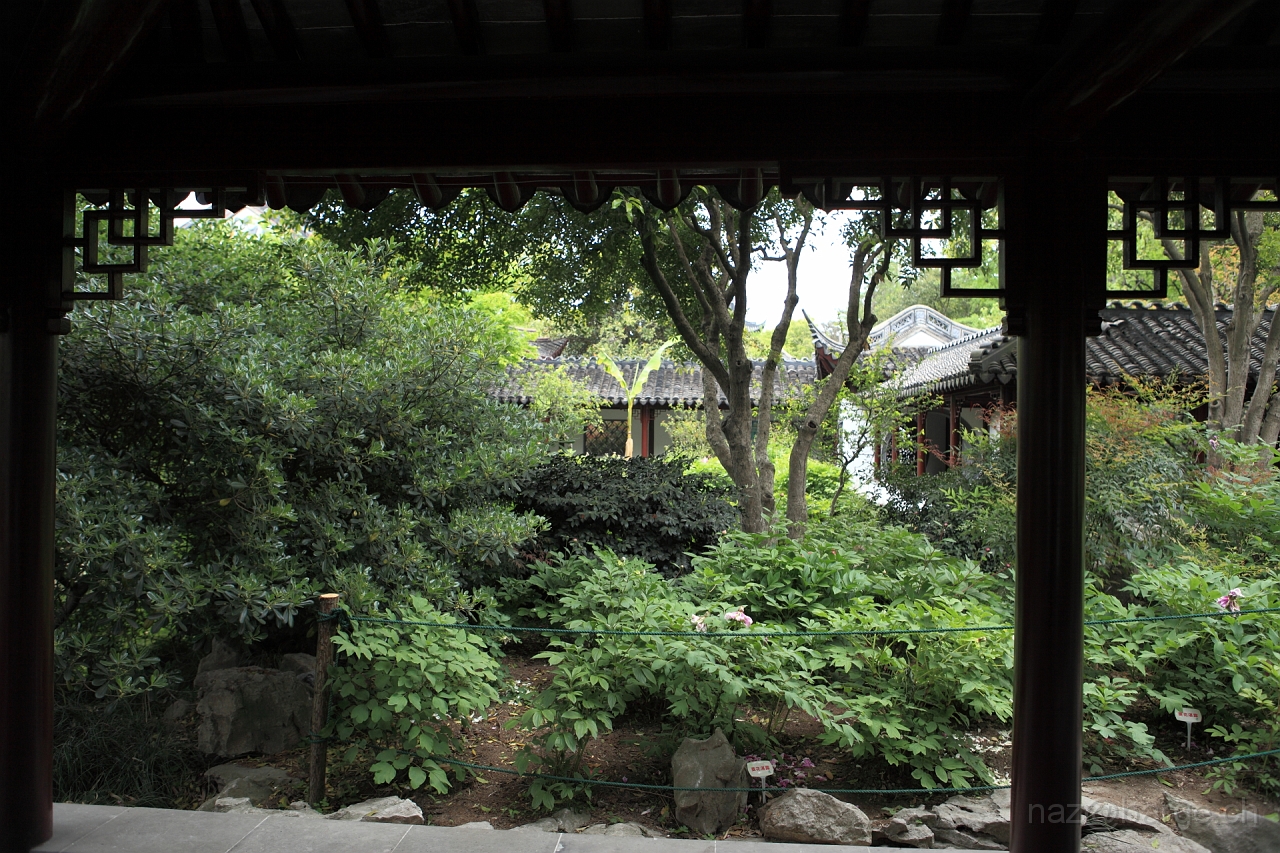 EOS 5D Mark II19_04_20135731.JPG